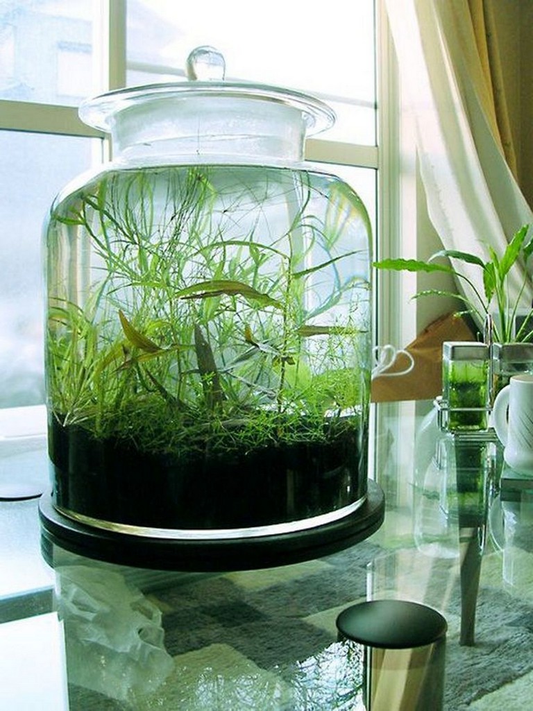 26+ Cool Indoor Water Garden Ideas For Best Indoor Garden Solution