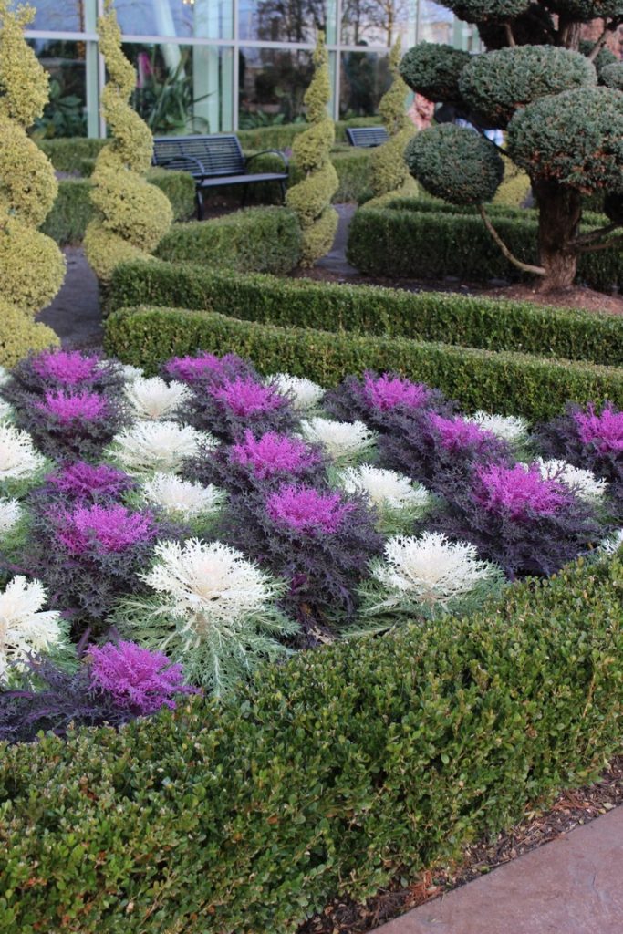 8+ Best Impressive Sun Perennials Front Yard Ideas For Wonderful Garden