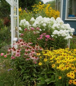 8+ Best Impressive Sun Perennials Front Yard Ideas For Wonderful Garden