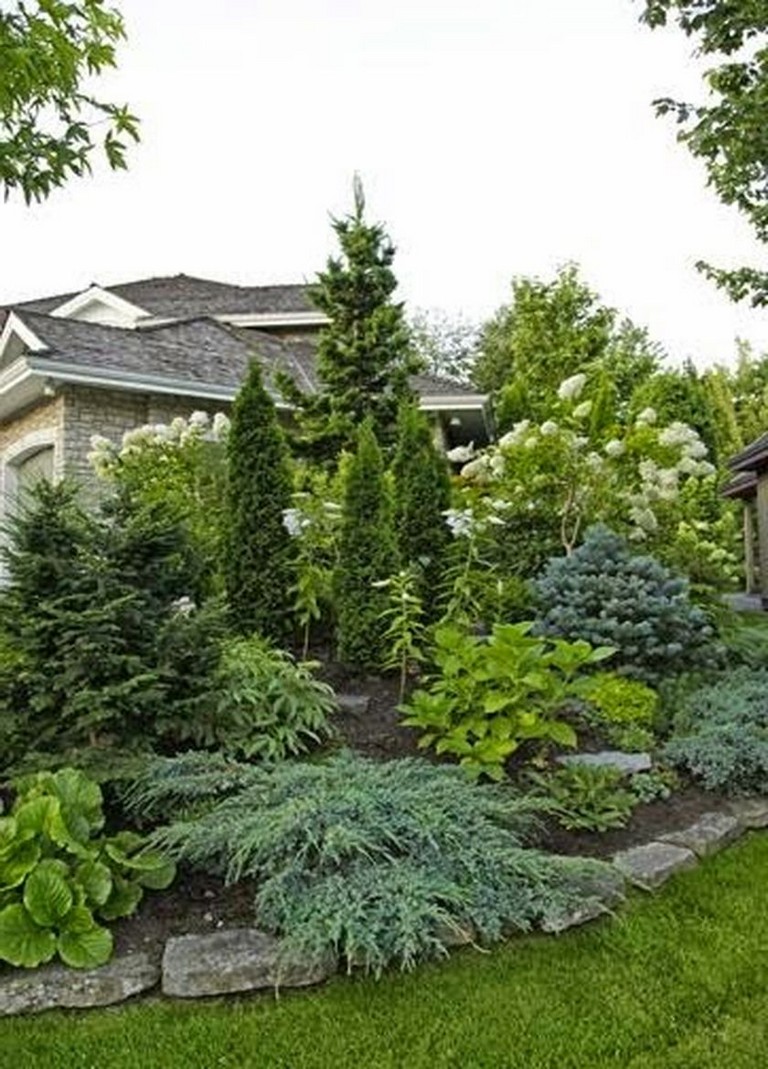 51+ Smart Ideas to Make Evergreen Landscape Garden on Your Front Yard