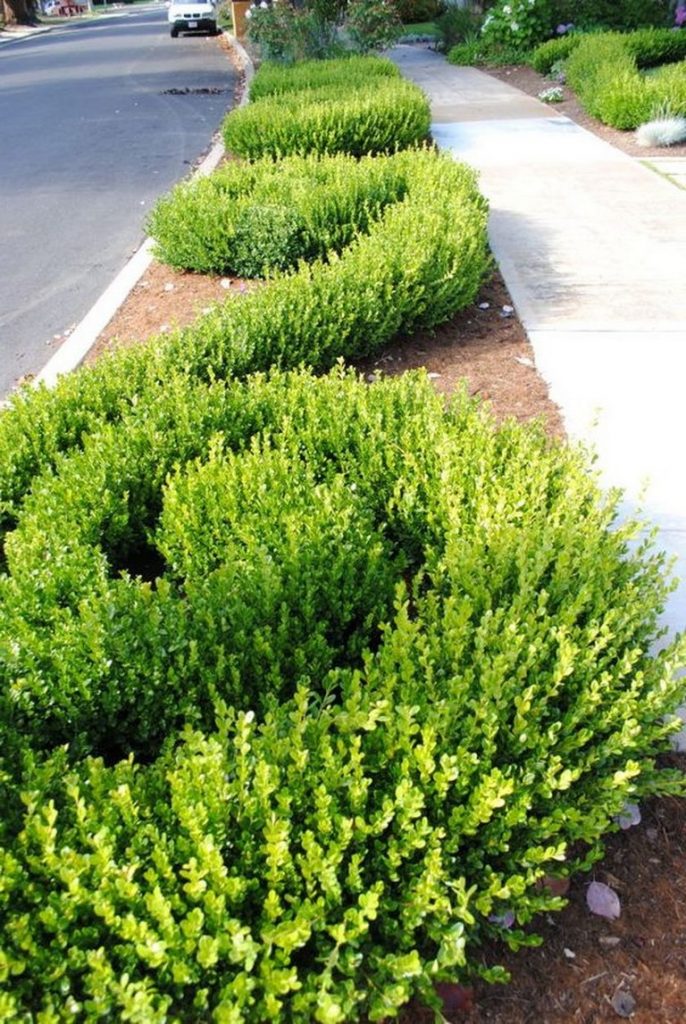 51+ Smart Ideas to Make Evergreen Landscape Garden on Your Front Yard