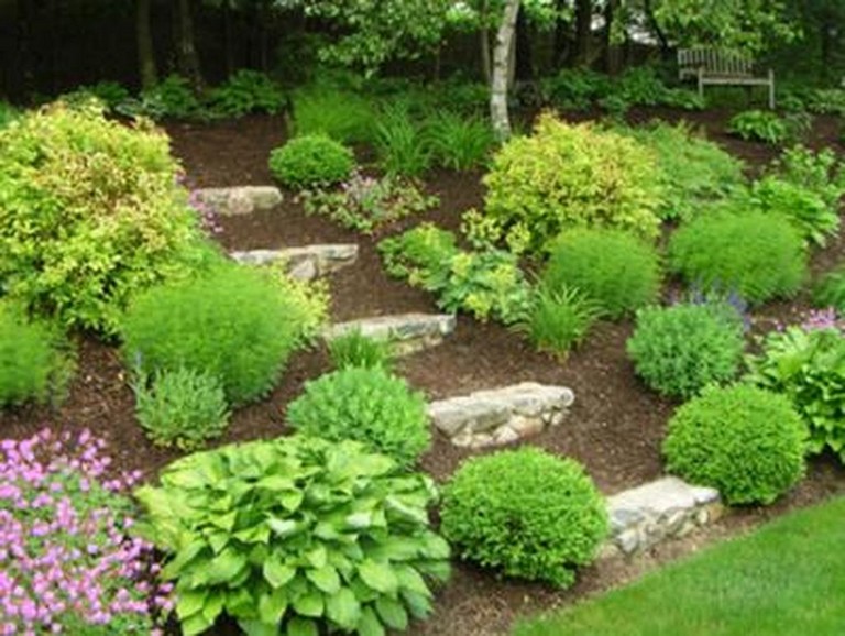 70+ Stunning Low Maintenance Front Yard & Backyard Landscaping Ideas