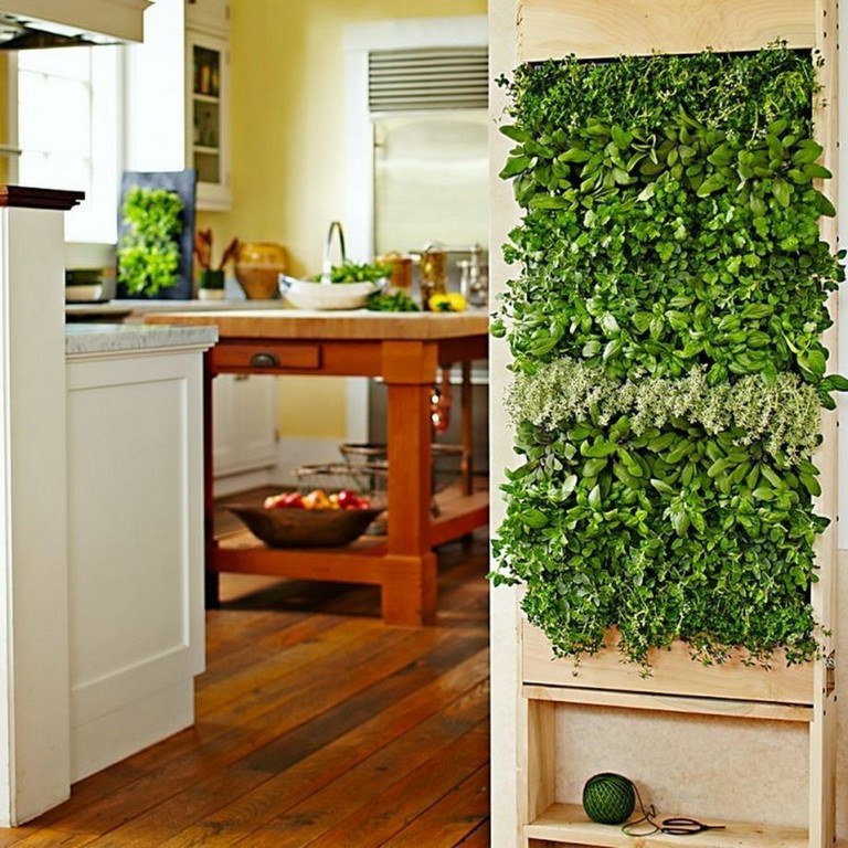 21+ Stunning Indoor Wall Herb Garden Ideas Page 12 of 23